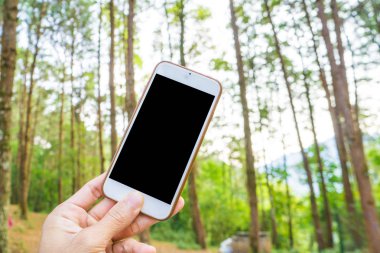Elini tut çam ormanı tatil arka plan fotoğraf çekmek için smartphone