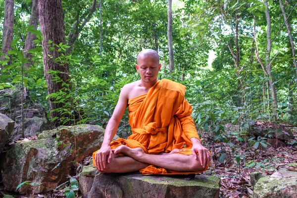 Buddha monk make meditation in deep peace forest, religion concept