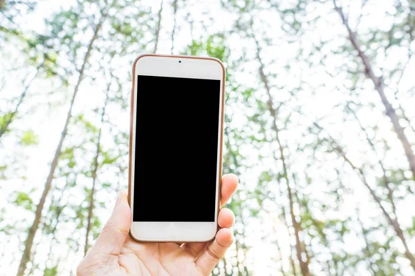 Sostenga Teléfono Inteligente Para Tomar Una Foto Del Fondo Vacaciones — Foto de Stock