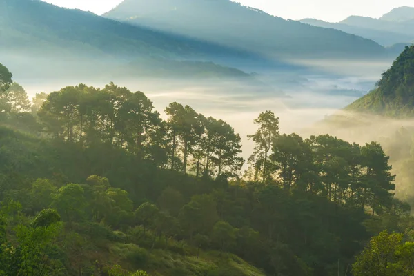 Mountain layer sunrise with fog cloud morning sky, Nature landscape