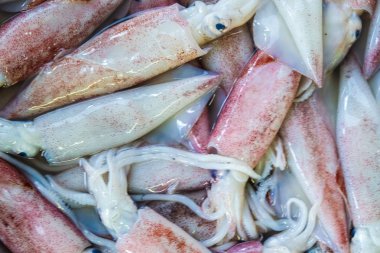 Taze kalamar deniz ürünleri paket pazar yakın çekim