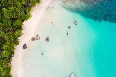 Tropical white sand bech with coconut palm tree background idyllic turquoise sea aerial view
