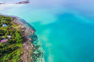 Kayalık deniz plaj turkuaz temiz su ile yeşil orman havadan görünümü.