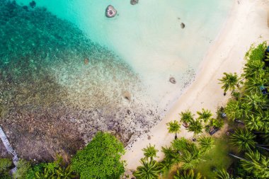 Tropical white sand bech with coconut palm tree background idyllic turquoise sea aerial view