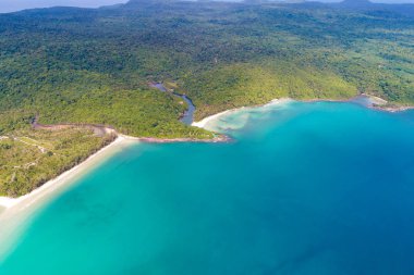 Yeşil ağaç manzaralı Rocky adası sahili, doğa deniz manzaralı.