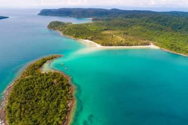 Yeşil ağaç orman havadan görünümü ile egzotik pastoral deniz ada