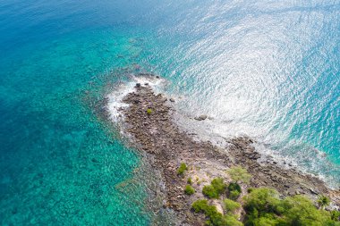 Yeşil ağaç manzaralı Rocky adası sahili, doğa deniz manzaralı.