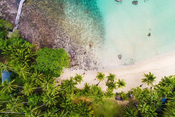 Tropical white sand bech with coconut palm tree background idyllic turquoise sea aerial view