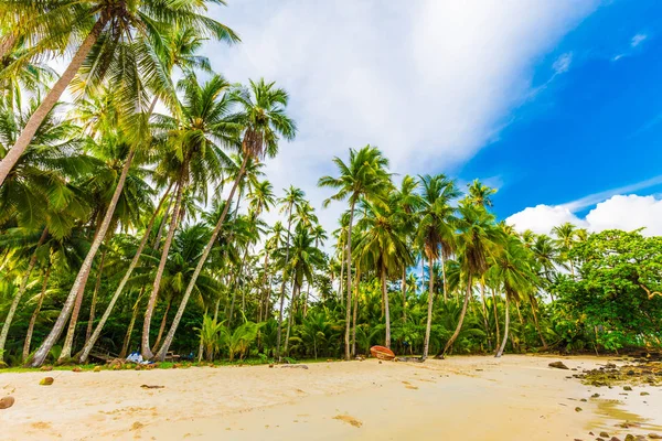 Palmera Coco Playa Tropical Mañana Vista Naturaleza Koh Kood Tailandia — Foto de Stock