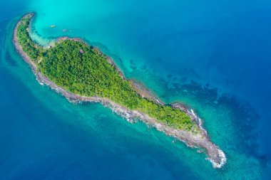 Yeşil ağaç manzaralı Rocky adası sahili, doğa deniz manzaralı.
