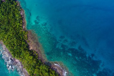 Yeşil ağaç manzaralı Rocky adası sahili, doğa deniz manzaralı.