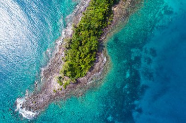 Yeşil ağaç manzaralı Rocky adası sahili, doğa deniz manzaralı.