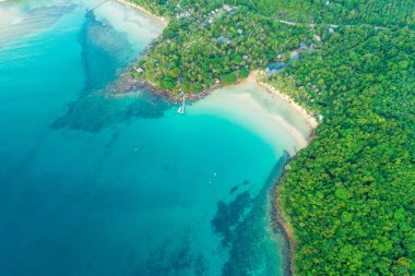 Yeşil ağaç orman havadan görünümü ile egzotik pastoral deniz ada