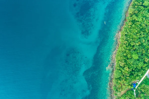 Ilha Marinha Idílica Exótica Com Vista Aérea Floresta Árvore Verde — Fotografia de Stock