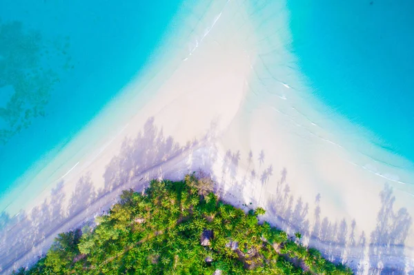 Aerial Photo Nature Landscape Idyllic White Sand Beach Coconut Tree — Stock Photo, Image