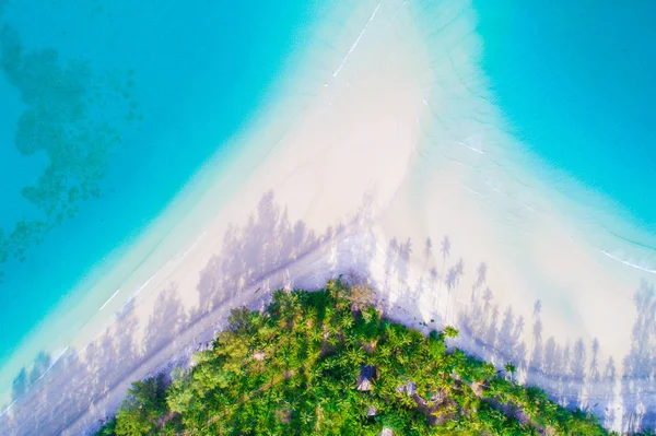 Ovanifrån Paradise Vit Turkos Sandstrand Med Coconut Palm Tree Koh — Stockfoto