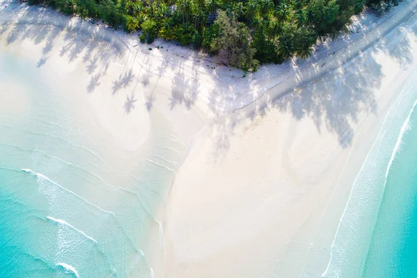 Widok Góry Raj Biały Piasek Plaży Turkus Coconut Palm Tree — Zdjęcie stockowe