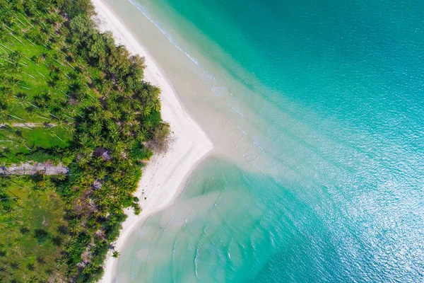 Fantastiska Vita Sandstranden Havsstranden Med Coconut Palm Tree Skugga Morgon — Stockfoto