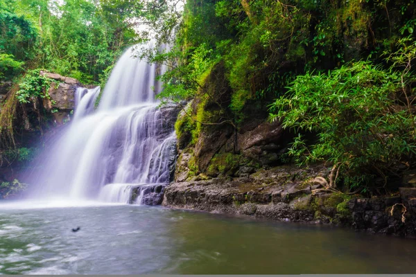 Tropikal derin orman Klong Chao şelale Koh Kood Island, Tayland