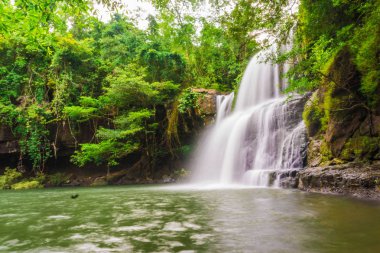 Tropikal derin orman Klong Chao şelale Koh Kood Island, Tayland