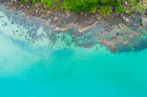 岩石海滩绿松石清澈的水与绿色森林鸟图 — 图库照片