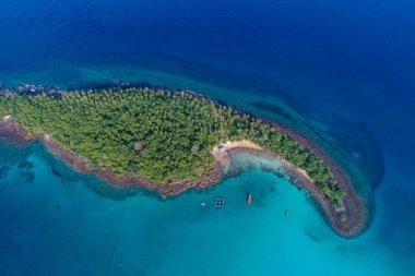 Yeşil ağaç yaz tatili geçmişi olan mavi turkuaz su adası.