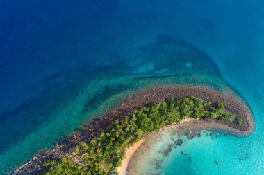 Yeşil ağaç yaz tatili geçmişi olan mavi turkuaz su adası.