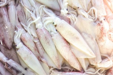 Taze mürekkep balığı, geleneksel deniz ürünleri pazarında, yiyecek nesnesinde arka plan satar.