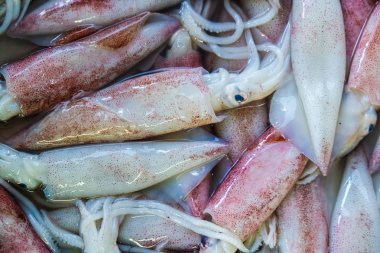 Taze mürekkep balığı, geleneksel deniz ürünleri pazarında, yiyecek nesnesinde arka plan satar.