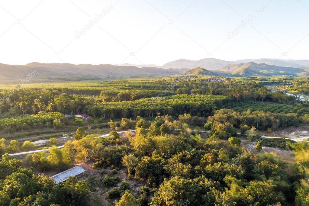 Aerial view of nature landscape green tropical forest with river sunset background