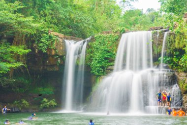 Tropikal derin orman Klong Chao şelale Koh Kood Island, Tayland