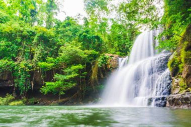 Tropikal derin orman Klong Chao şelale Koh Kood Island, Tayland