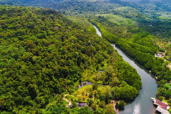 River Tropical Mangrove Green Tree Forest Aerial View — Stock Photo, Image