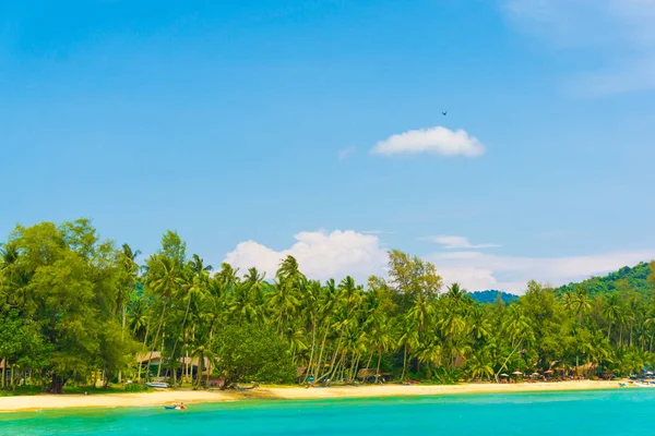 Cocos Palm Tree Blauwe Hemelachtergrond Eiland — Stockfoto