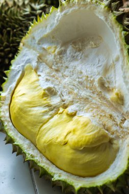 Durian tropikal Asya meyve meyve tatlı ve yağ bol sarı