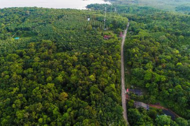 Yeşil ağaç tropicl rainforest Island hava görünümünü sabah doğa manzara üzerinde