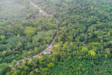 Yeşil ağaç tropicl rainforest Island hava görünümünü sabah doğa manzara üzerinde