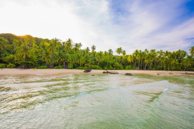 Sakin deniz plaj kumlu ve kayalık plaj ve Hindistan cevizi hurma ağacı mavi gökyüzü arka plan ile