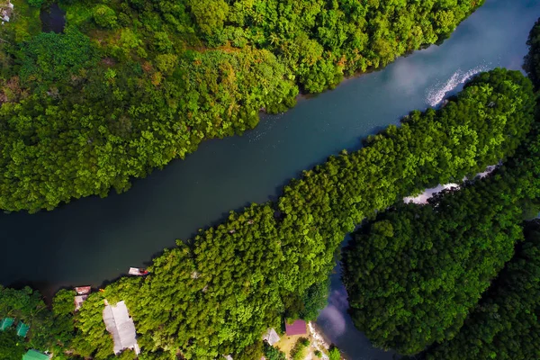 Flod Tropiska Mangrove Gröna Träd Skogen Flygfoto — Stockfoto