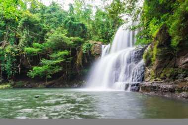 Tropikal derin orman Klong Chao şelale Koh Kood Island, Tayland