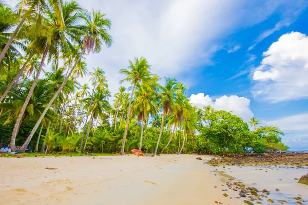 Paradise Idílica Praia Mar Com Coqueiro Palmeira Ilha Tropical — Fotografia de Stock