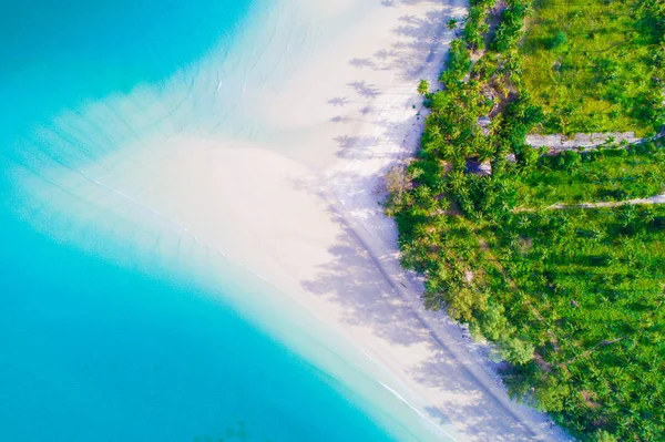 Ovanifrån Idylliska Blått Hav Vit Sandstrand Med Coconut Palm Tree — Stockfoto