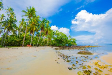 Ada doğa arka plan ile pastoral beyaz kum plaj deniz manzarası mavi gökyüzü