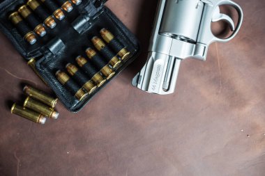.44 magnum ceket yumuşak noktası bullet deri doku arka plan üzerinde