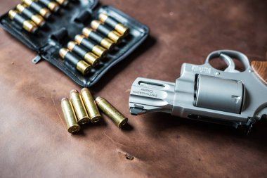 .44 magnum ceket yumuşak noktası bullet deri doku arka plan üzerinde