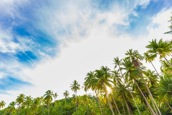 Palmy Kokosowe Drzewo Morze Plaża Sielankowy Morze Niebieski Niebo Rano — Zdjęcie stockowe