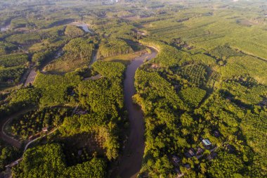 Yağmur ormanı yeşil doğa doğal eğrisi nehir gündoğumu havadan görünümü ile