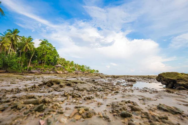 Coco Palmeira Mar Praia Céu Azul Verão Paisagem — Fotografia de Stock