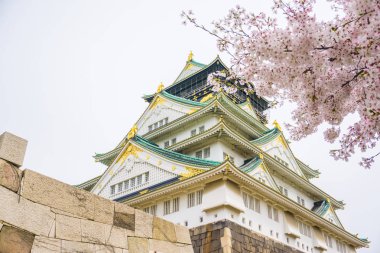 Osaka Kalesi ile pembe sakura çiçek kış bahar sezonu, Osaka Japonya