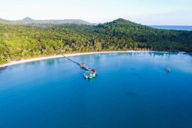 Ağaç doğa manzara havadan görünümü ile inanılmaz huzur tropikal deniz plaj